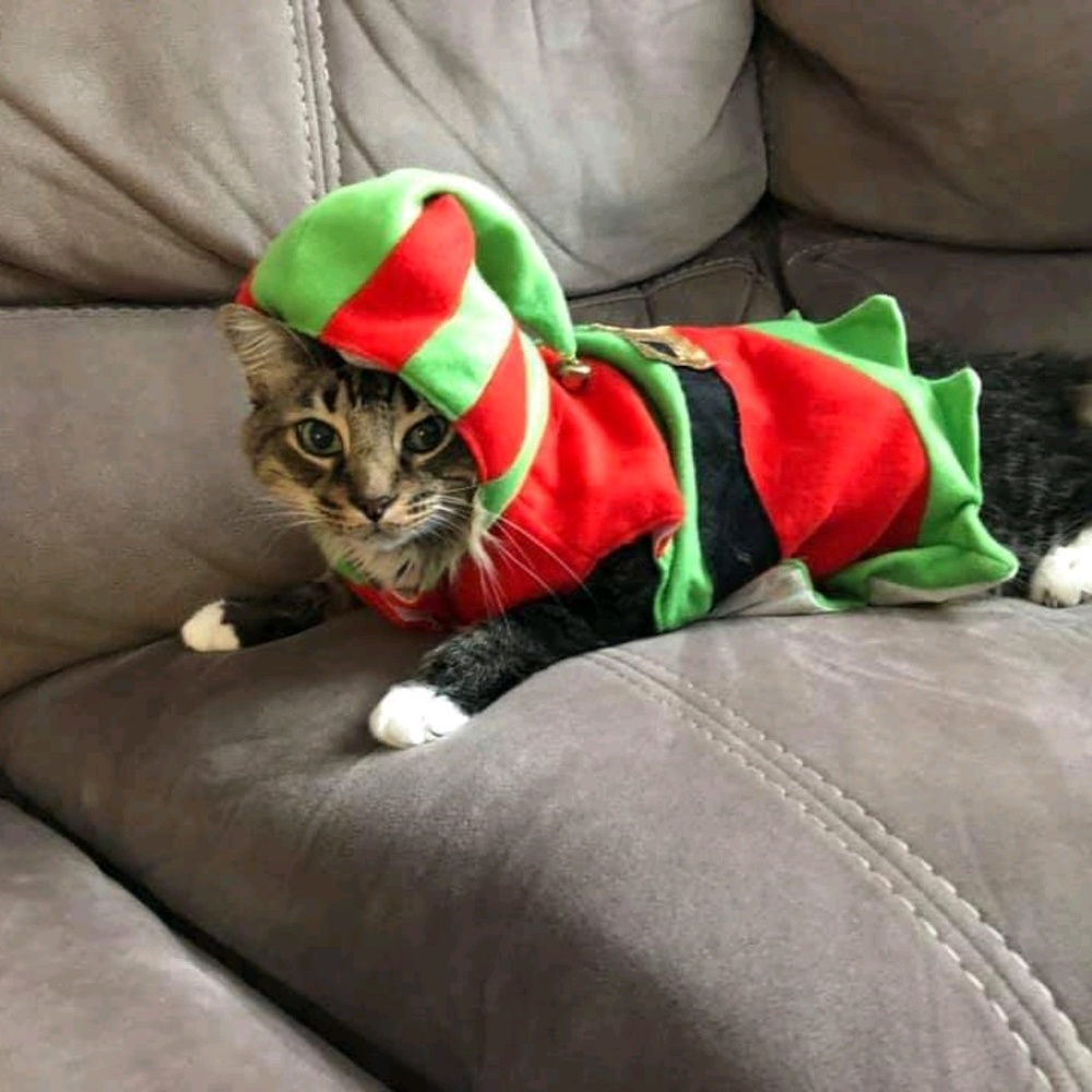 Meet your Posher, Delia